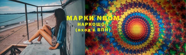 соль ск Надым