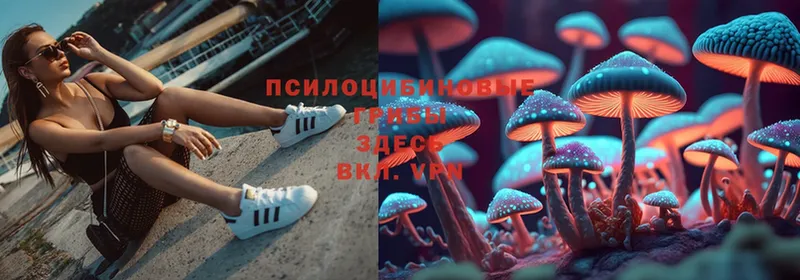 Галлюциногенные грибы Magic Shrooms  Кондопога 