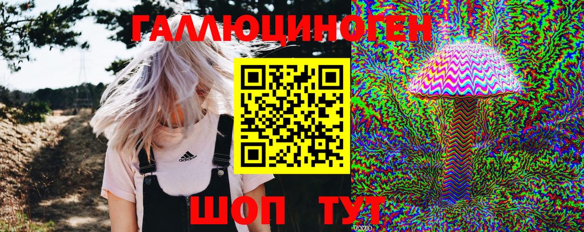 Псилоцибиновые грибы MAGIC MUSHROOMS Кондопога
