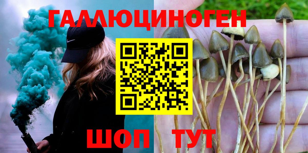 Галлюциногенные грибы прущие грибы  Кондопога  Галлюциногенные грибы мухоморы 